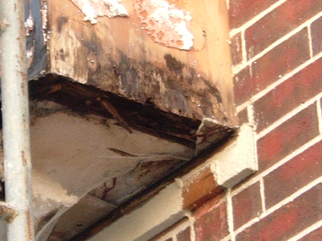 2004_0213image0011.jpg